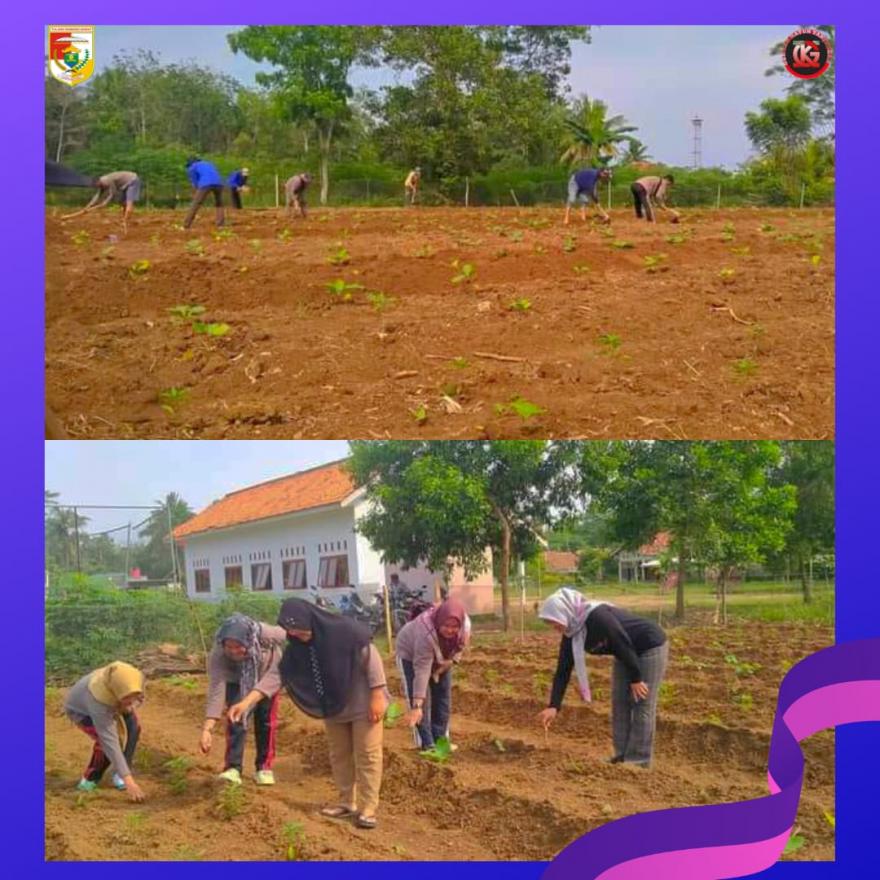 Kegiatan Gotong Royong di Kebun PKK