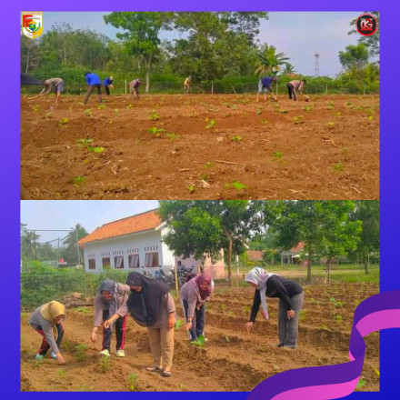 KEGIATAN GOTONG ROYONG DI KEBUN PKK